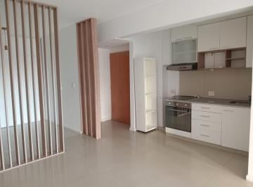 Departamento · 40m² · 1 Ambiente · Amplio Monoambiente Dividido, Excelente Estado, Ideal Uso Vivienda/apto Profesional