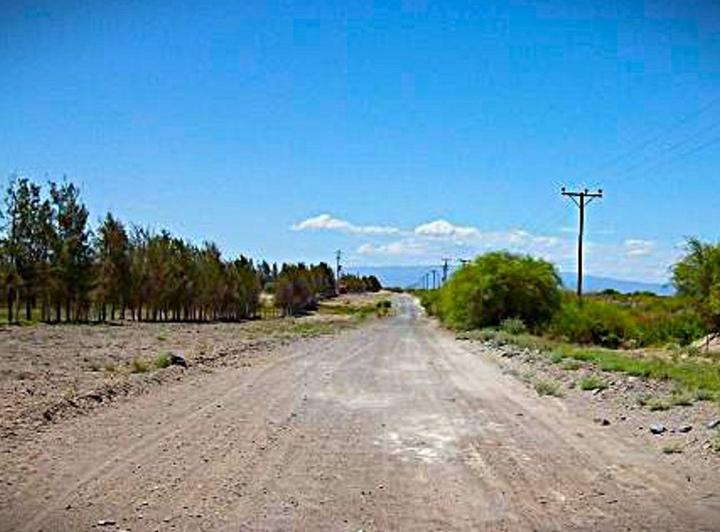 Campo · 310ha