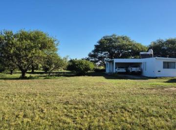 Casa · 431m² · 6 Ambientes · 2 Cocheras · Se Vende Quinta con 2 Casas en Zona Mal. Argentina