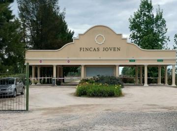 Terreno · 734m² · Lote en Fincas de San Vicente Joven