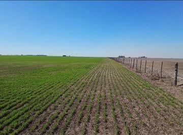 Campo · 201ha · Se Vende Campo de 201 Ha en Sta. Teresa, Sta. Fe