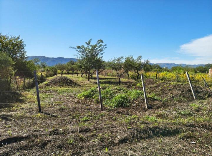 Terreno · 900m²