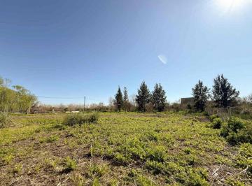 Terreno · 1000m² · Lote en Venta en Berisso 1.000 m²