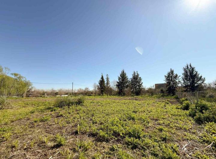 Terreno · 1000m²