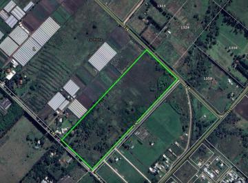 Terreno · 99229m² · Ha en Venta Joaquin Gorina