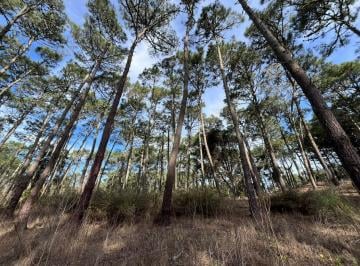 Terreno · 1283m² · Lote en Venta en Carilo - Barrio Zorzal - 1.283 m²