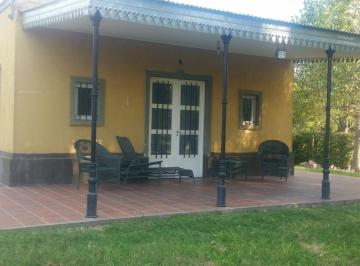 vista casa · Excepcional Fracción de 61,5 Ha en Gral. Rodríguez – Negocio Pecanero en Plen