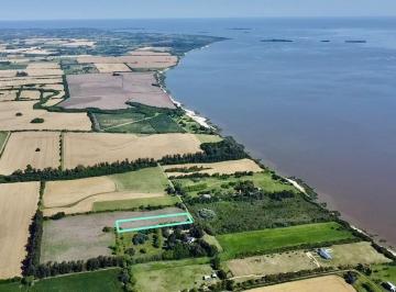Campo · 16000ha · 1 Cochera · Colonia - San Pedro - Venta de Chacra de 1 Hectárea 1642 m²