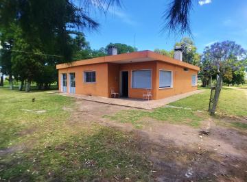 Campo · 10000ha · 6 Ambientes · Chacra en Alquiler en Piedras de Los Indios