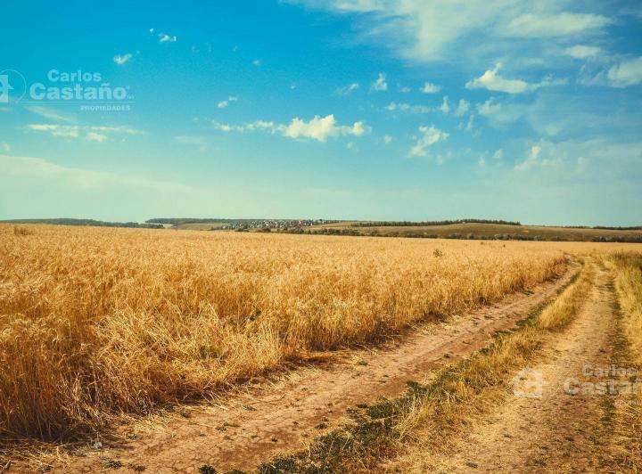 Campo · 35000000m²