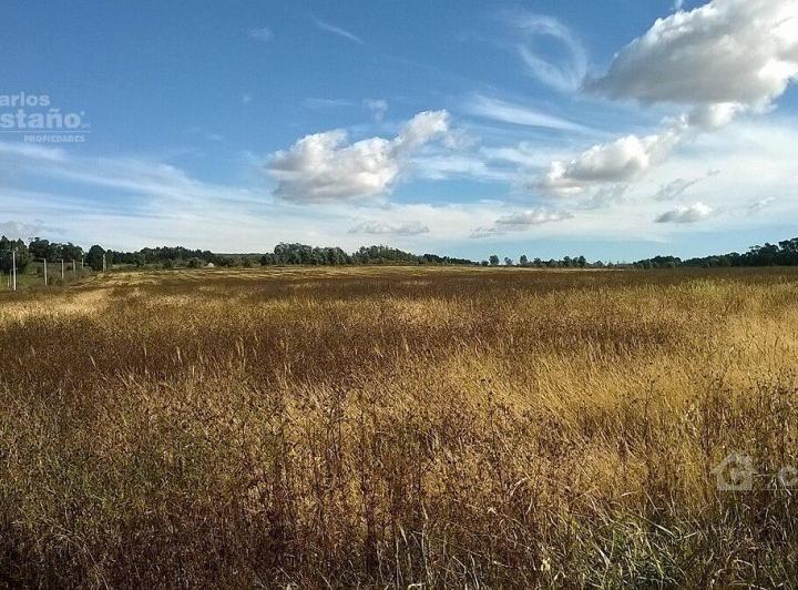 Campo · 10000000m²