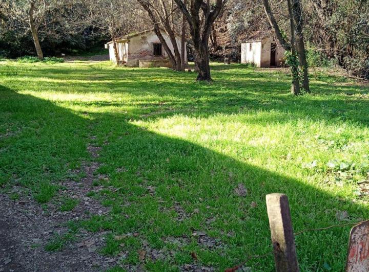 Terreno · 1300m²