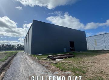 Bodega-Galpón · 1130m² · 7 Ambientes · Galpón en General Rodriguez