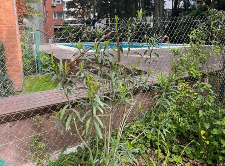 Departamento · 100m² · 4 Ambientes · 1 Cochera