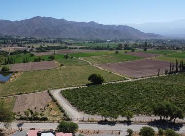 Campo · 21ha · Campo en Venta de 20 Ha