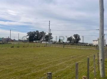 Terreno · 1000m² · Lote en Venta en Brandsen