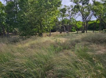 Terreno · 1033m² · Lote en Venta, Northbeach