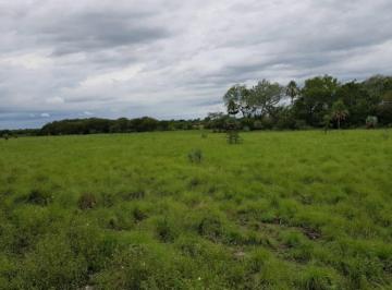 Campo · 1611ha · Campo - Pirane