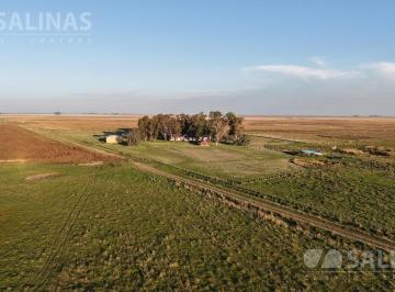 Campo · 1561ha · 1.561 Ha Campo Productivo en Pila