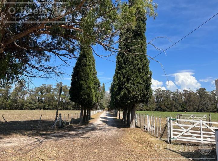 Campo · 56ha · 6 Ambientes · 2 Cocheras
