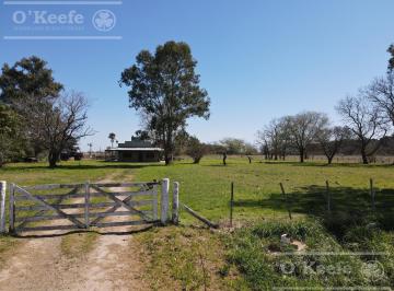 Campo · 150000ha · Chacra de 15 Has en Venta - Disfrute y Producción a 1000 m de Ruta 29, en General Belgrano.