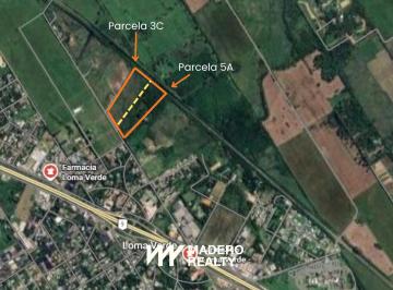 Terreno · 87200m² · Terreno en Loma Verde Gran Potencial