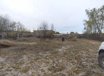 Terreno · 1000m² · Terreno en Venta en Barda del Medio (Camino a Vaca Muerta)