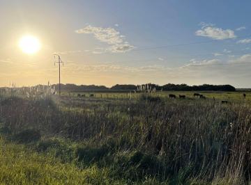 Campo , General Juan Madariaga · Venta Campo con Vivienda y Laguna Ruta 74, Partido de General Madariaga