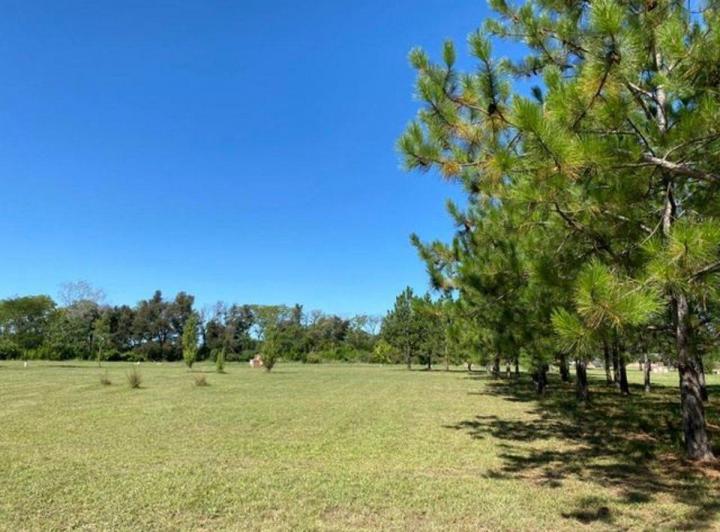 Terreno · 1007m²