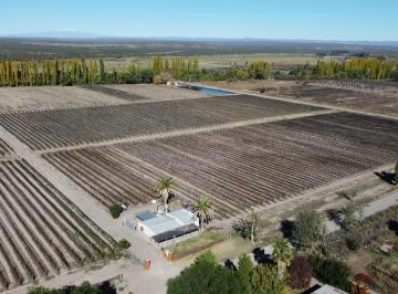 Campo · 19ha · Finca de 20 Hectáreas en Calle Larga - Entorno Rural Premium