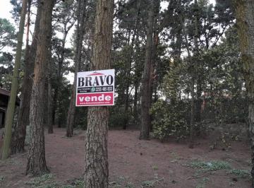 Terreno , Mar de las Pampas · Lote en Venta en Pleno Bosque de Mar de Las Pampas