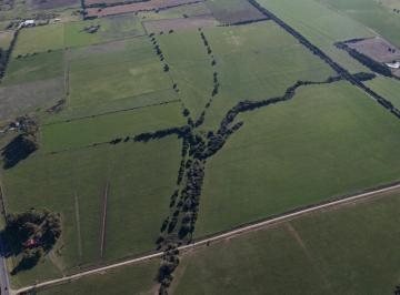 Campo · 58ha · Campo con Frente a Ruta 1, Colonia