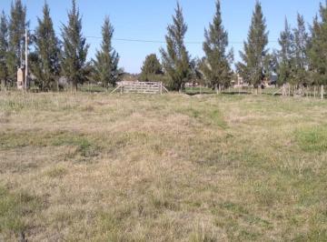 Terreno · 3600m² · Lote 3.600 m² con Escritura. Chascomús
