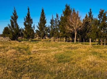 Terreno · 3600m² · Lote 3.600 m² con Escritura. Chascomús