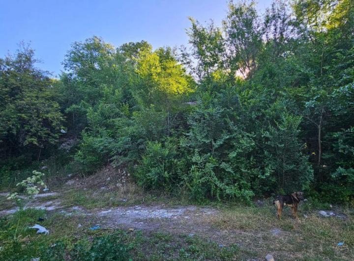 Terreno · 2900m²