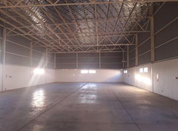 Bodega-Galpón , Carrodilla · Galpón Industrial