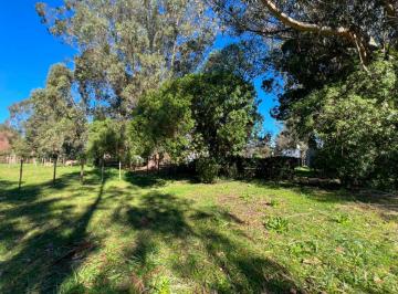 Terreno , Miramar · Lote en Venta – Parque Bristol | Usd 12.000