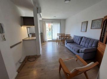 Departamento · 38m² · 3 Ambientes · Alquiler Depto 1 Dormitorio con Balcón - Lourdes