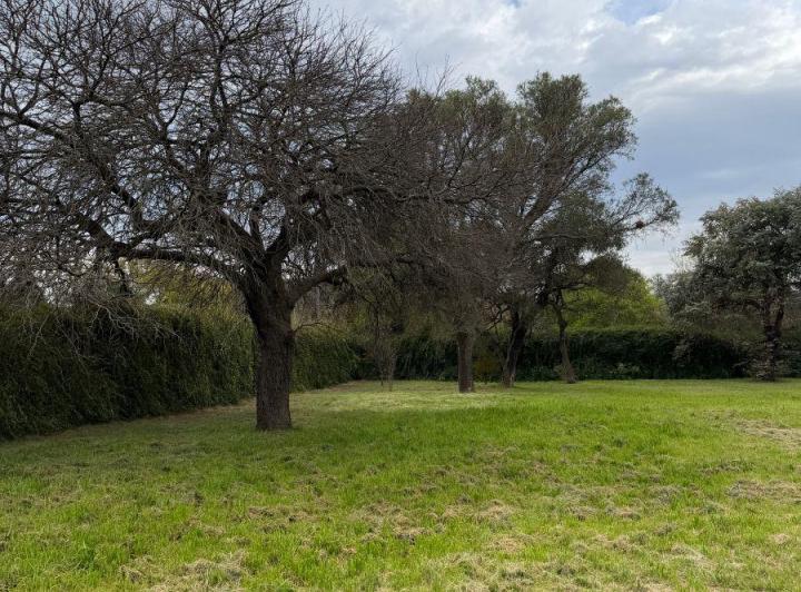 Terreno · 2160m²