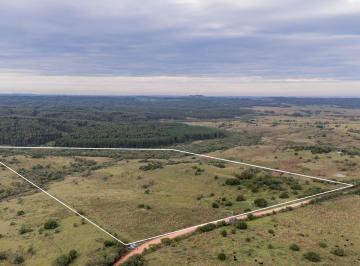 Campo · 20ha · 1 Ambiente · Oportunidad: Chacra 20 Ha Venta en Las Sierras de Garzón