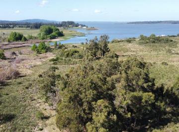 Campo · 17ha · 1 Ambiente · Venta Campo 17 Ha Sobre La Laguna del Sauce Punta del Este