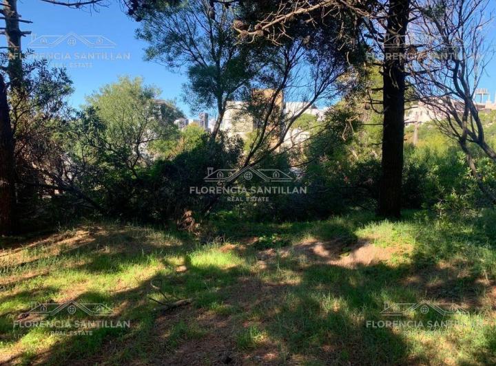 Terreno · 961m²