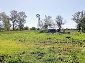 Campo · 55000ha · 3 Ambientes · Venta Chacra Ha Campo - Marcos Paz - Virrey del Pino