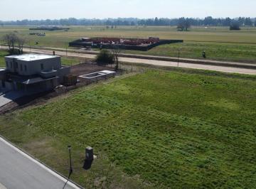 Terreno · 1216m² · Lote en Pilara, El Tilbury -, Pilará, Pilar