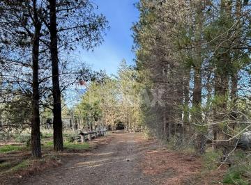 Terreno · 5269m² · Lotes en Los 3 Pinos Forestados