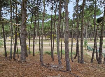 Terreno · 887m² · Terreno en Venta - - 887 m - Pinamar