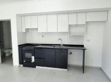 Departamento · 46m² · 1 Ambiente · Dpto C/ Patio, Parrilla a Estranar - Villa Riachuelo