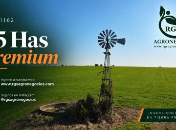 Campo , Uruguay · 100 % Agricola - Colonia