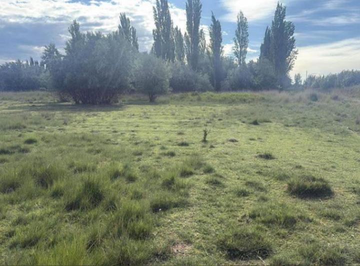 Terreno · 50000m²