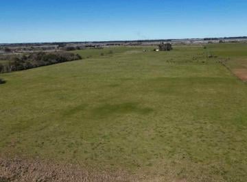 Campo · 20ha · Campo de 19,75 Ha Ideal Horticola. Etcheverry